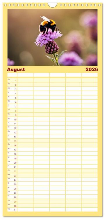 Produktbild: Familienplaner 2026 - Filigrane Insekten mit 5 Spalten (Wandkalender, 21 x 45 cm) CALVENDO