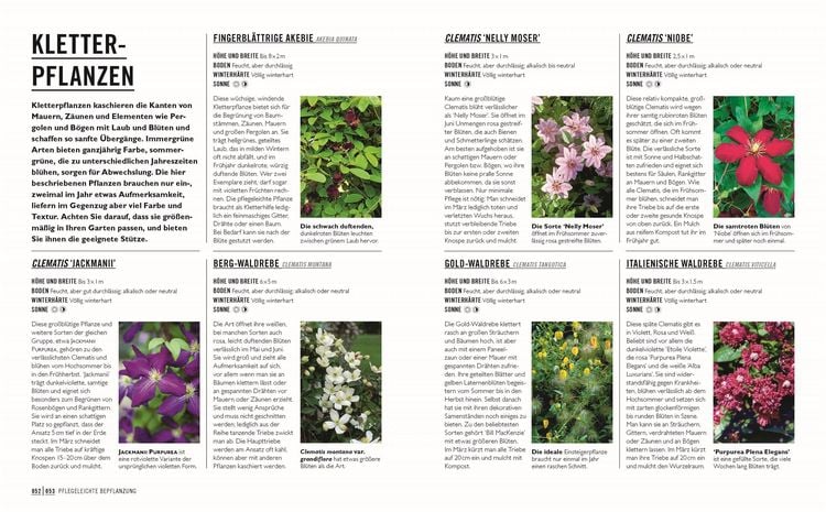 Grünes Gartenwissen. Gärtnern mit wenig Aufwand