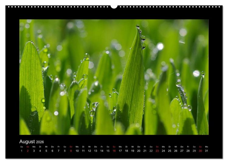 Produktbild: Meine kleine gr&uuml;ne Wassertropfen Welt (hochwertiger Premium Wandkalender 2026 DIN A2 quer), Kunstdruck in Hochglanz