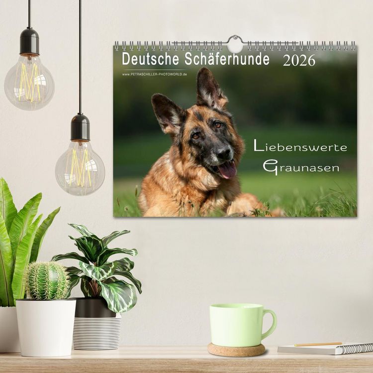 Produktbild: Deutsche Sch&auml;ferhunde - Liebenswerte Graunasen (Wandkalender 2026 DIN A4 quer), CALVENDO Monatskalender
