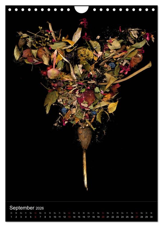Produktbild: Blumen bei Nacht (Wandkalender 2026 DIN A4 hoch), CALVENDO Monatskalender