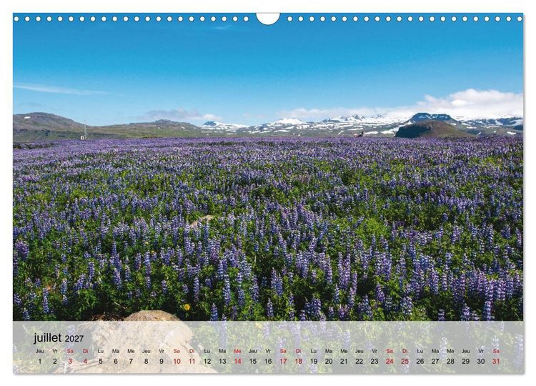 Produktbild: L'&eacute;t&eacute; en Islande (Calendrier mural 2027 DIN A3 vertical), CALVENDO calendrier mensuel