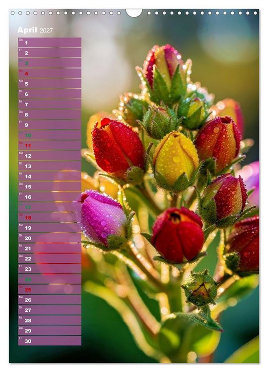 Produktbild: Bunte Augenblicke (Wandkalender 2027 DIN A3 hoch), CALVENDO Monatskalender