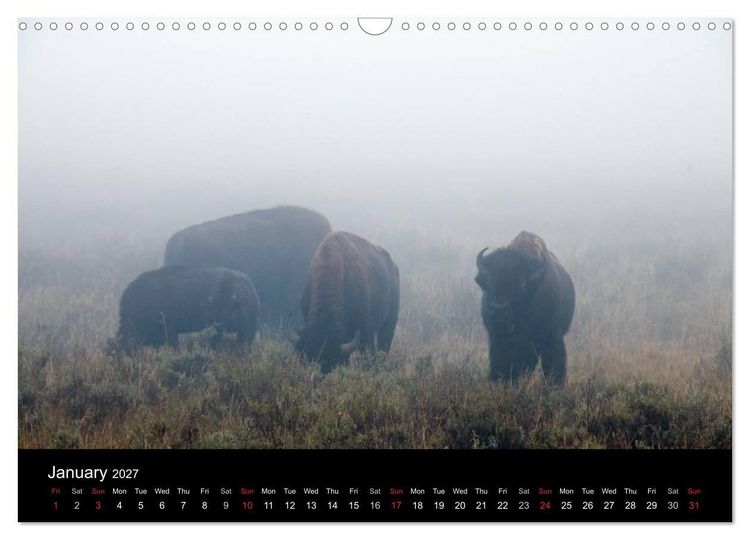 Produktbild: Beautiful Yellowstone and Grand Tetons National Parks (Wall Calendar 2027 DIN A3 landscape), CALVENDO 12 Month Wall Calendar