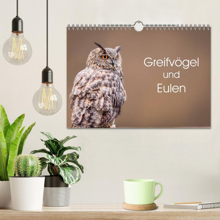 Produktbild: Greifv&ouml;gel und Eulen (Wandkalender 2026 DIN A4 quer), CALVENDO Monatskalender