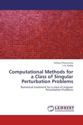Produktbild: Phaneendra, K: Computational Methods for a Class of Singular