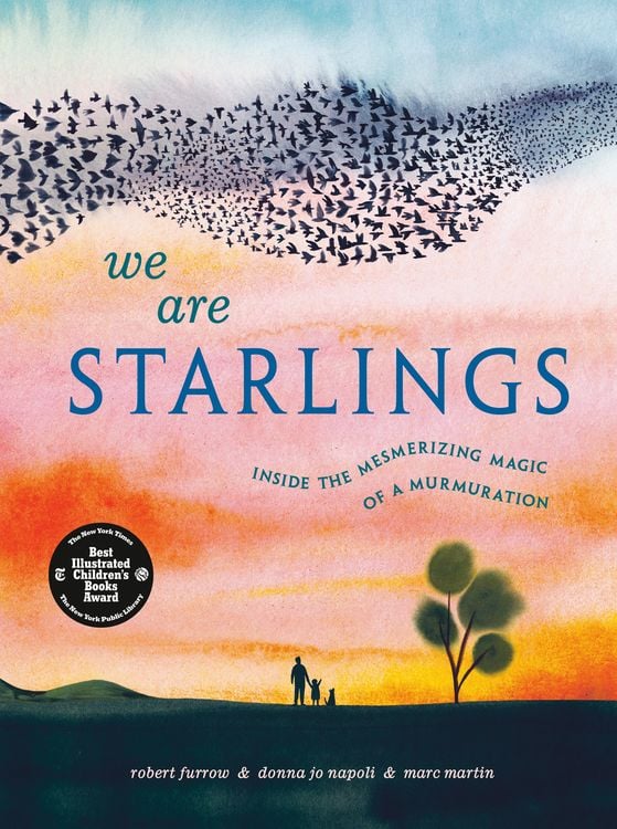 Produktbild: We Are Starlings