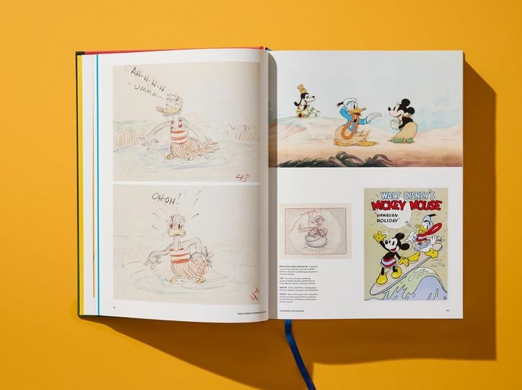 Produktbild: Walt Disney's Donald Duck