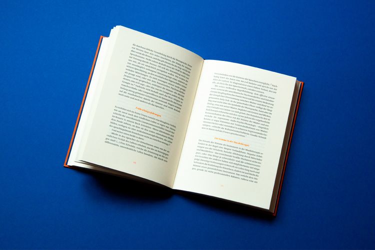 Produktbild: Die Philosophie des Singens