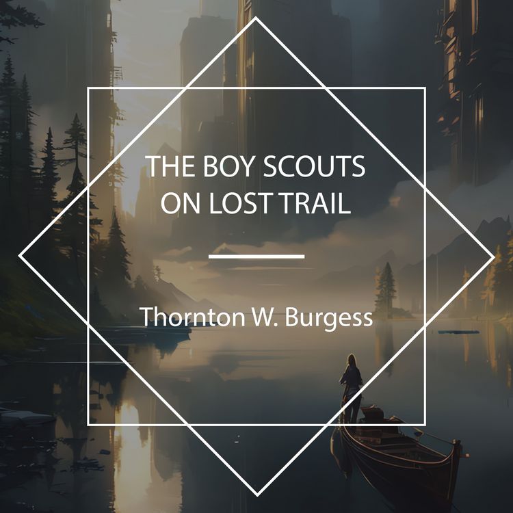 Produktbild: The Boy Scouts on Lost Trail