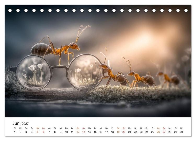 Produktbild: Brillen Bande (Tischkalender 2027 DIN A5 quer), CALVENDO Monatskalender