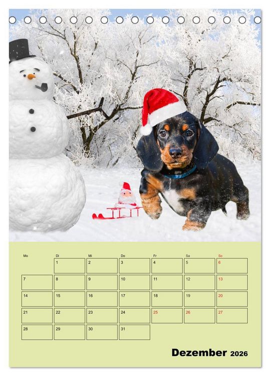 Produktbild: Dackeltr&auml;ume - Ein Familienplaner f&uuml;r das Jahr (Tischkalender 2026 DIN A5 hoch), CALVENDO Monatskalender