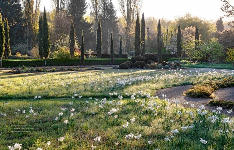Produktbild: Peter Janke: Mein Garten im Wandel des Zeitgeistes und des Klimas