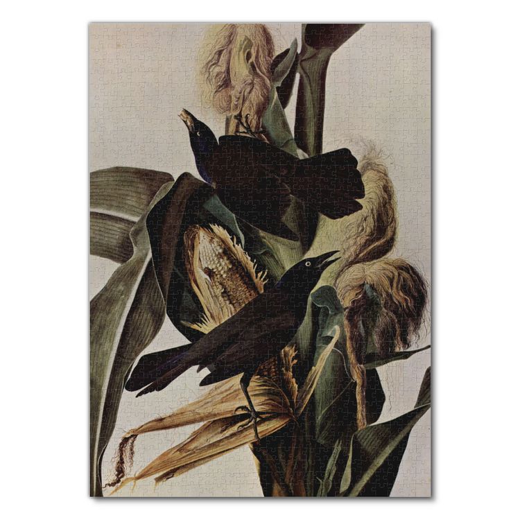 Produktbild: Lais Puzzle John James Audubon - Purpurbootschwanz 1000 Teile