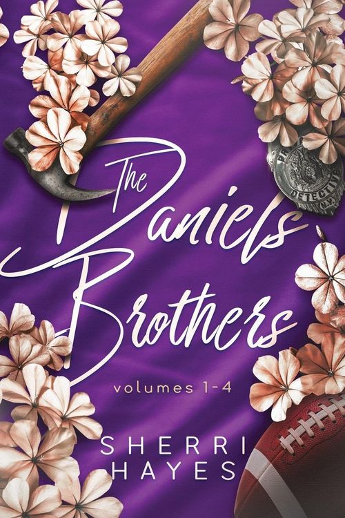Produktbild: Daniels Brothers Books 1-4