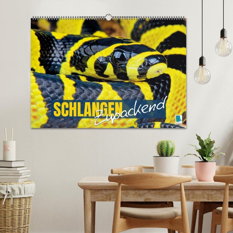 Produktbild: Schlangen: Zupackend (Wandkalender 2026 DIN A2 quer), CALVENDO Monatskalender