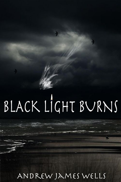 Produktbild: Black Light Burns