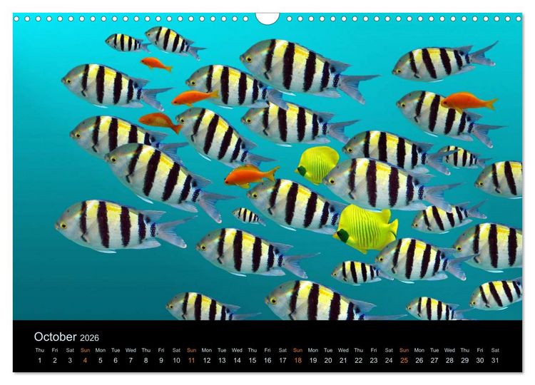 Produktbild: Water Dreams-journey through the sea (Wall Calendar 2026 DIN A3 landscape), CALVENDO 12 Month Wall Calendar