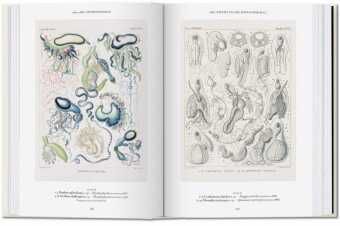 Produktbild: The Art and Science of Ernst Haeckel