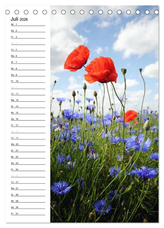 Produktbild: Land Brandenburg im Wechsel der Jahreszeiten (Tischkalender 2026 DIN A5 hoch), CALVENDO Monatskalender