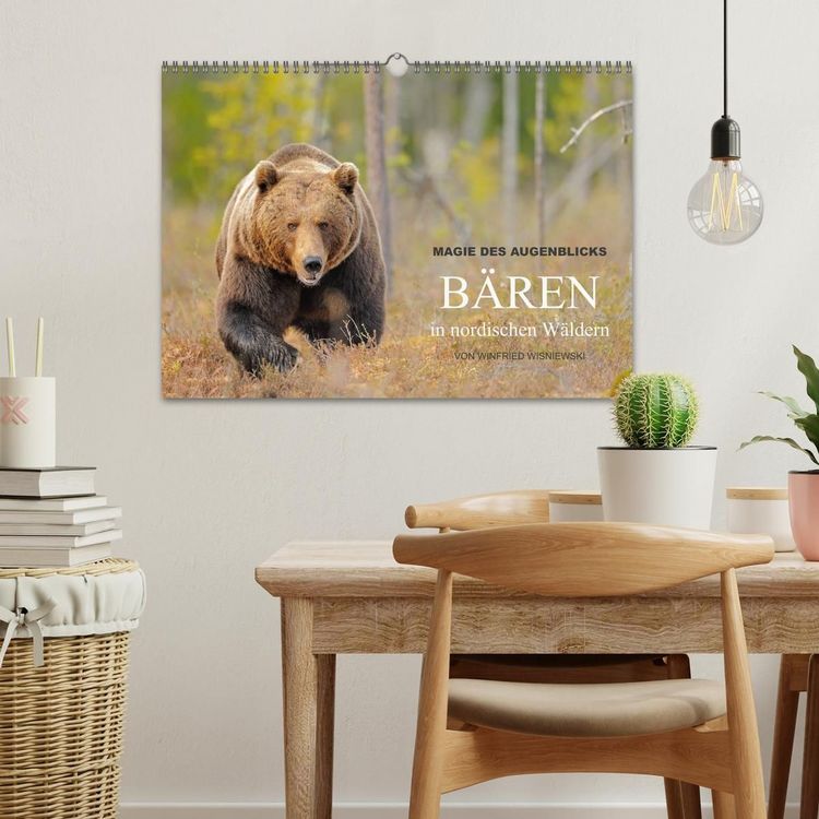 Produktbild: Magie des Augenblicks - B&auml;ren in nordischen W&auml;ldern (Wandkalender 2027 DIN A3 quer), CALVENDO Monatskalender