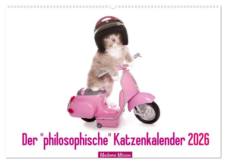 Produktbild: Der "philosophische" Katzenkalender 2026 (Wandkalender 2026 DIN A2 quer), CALVENDO Monatskalender