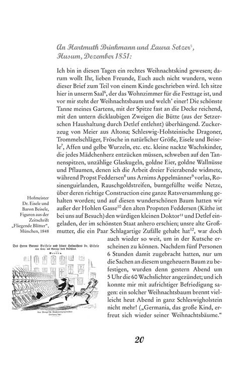 Produktbild: Theodor Storms Weihnachten