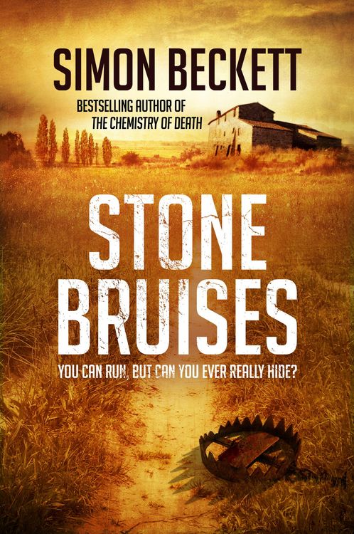 Produktbild: Stone Bruises