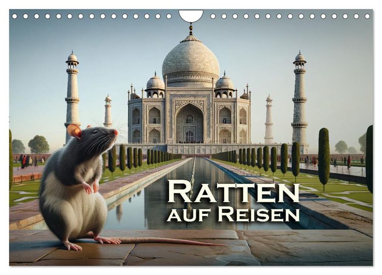 Produktbild: Ratten auf Reisen (Wandkalender 2026 DIN A4 quer), CALVENDO Monatskalender