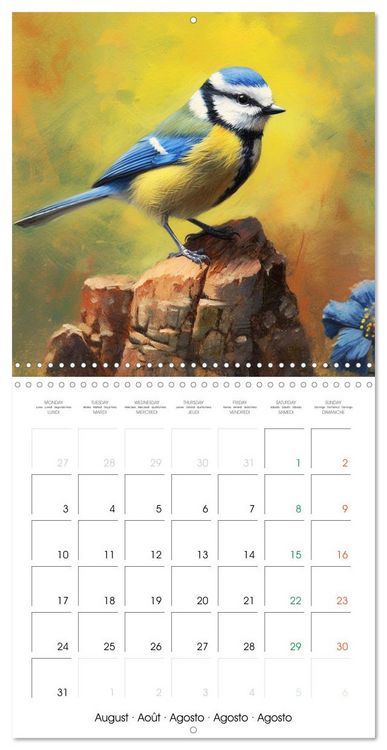 Produktbild: Ailes en sc&egrave;ne (Calendrier mural carr&eacute; 2026 30x30 cm) Calendrier double avec une page pour vos prises de notes