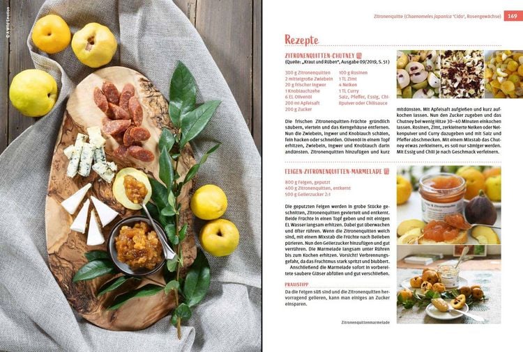 Produktbild: Besondere Obstarten