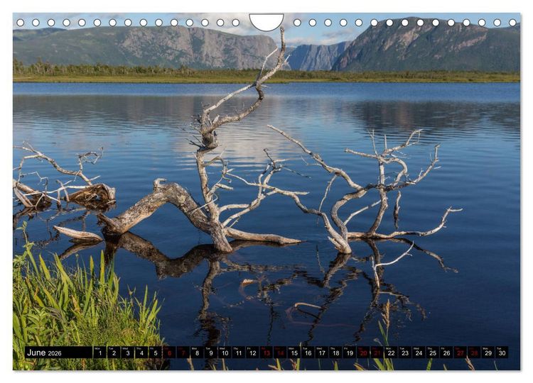 Produktbild: Island of Newfoundland (Wall Calendar 2026 DIN A4 landscape), CALVENDO 12 Month Wall Calendar