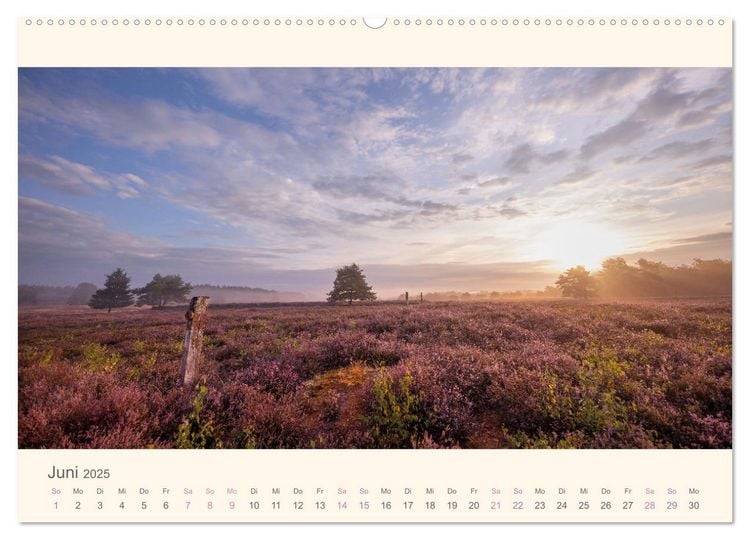 Mehlinger Heide (Wandkalender 2025 DIN A2 quer), CALVENDO Monatskalender