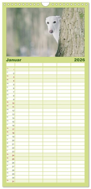 Produktbild: Familienplaner 2026 - Der Windhundekalender mit 5 Spalten (Wandkalender, 21 x 45 cm) CALVENDO