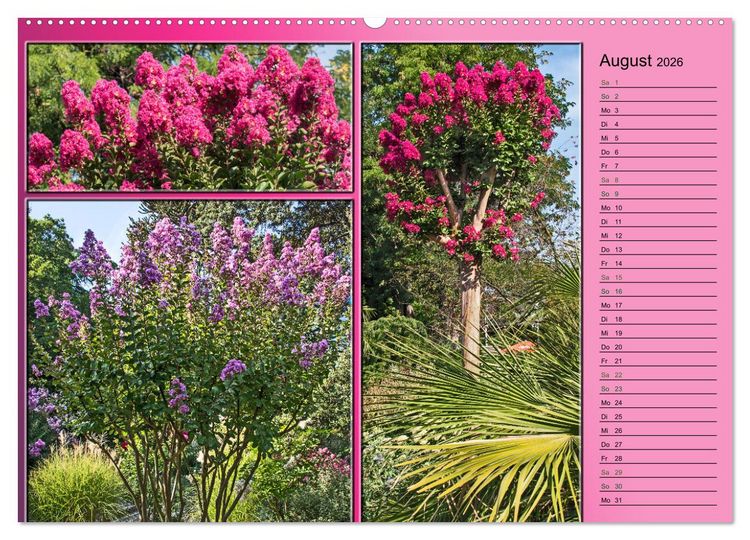 Produktbild: Bl&uuml;hende Gartenparks in Mannheim (hochwertiger Premium Wandkalender 2026 DIN A2 quer), Kunstdruck in Hochglanz
