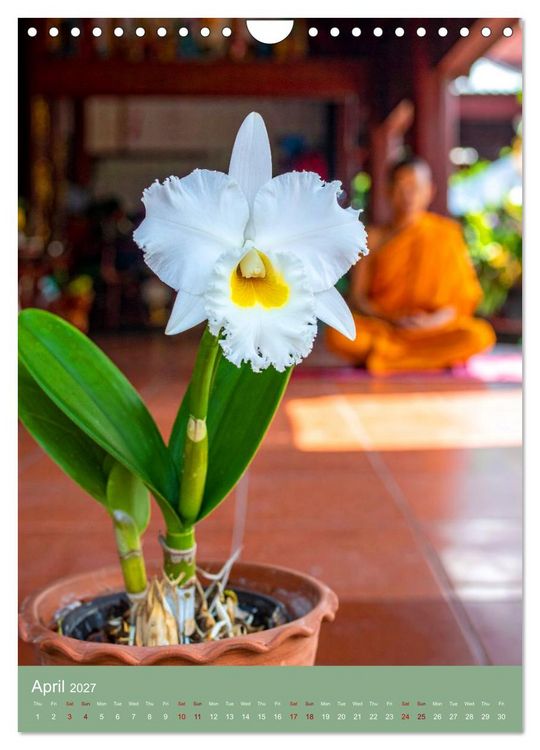 Produktbild: Cattleya - Breeder's Pride (Wall Calendar 2027 DIN A4 portrait), CALVENDO 12 Month Wall Calendar