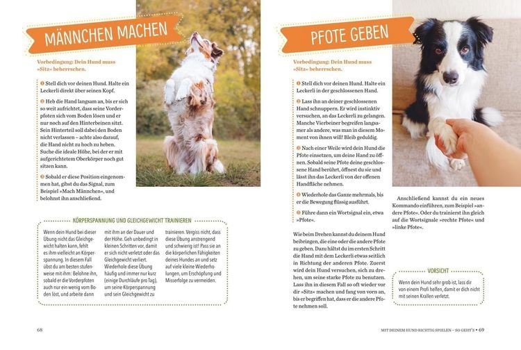 Produktbild: Spielerische Hundeerziehung