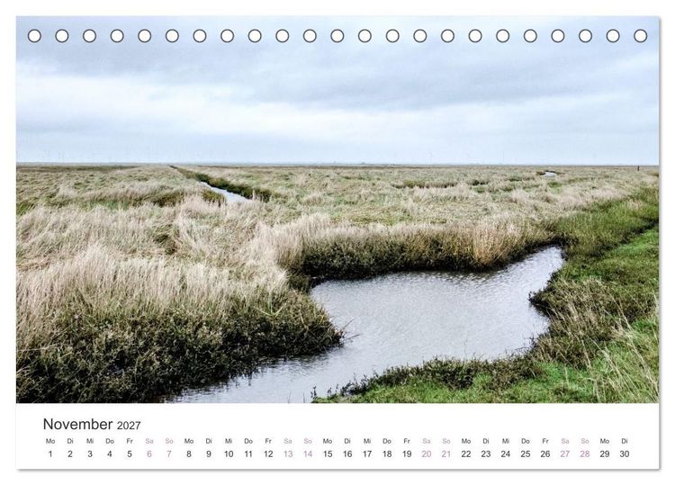 Produktbild: Hamburger Hallig - Der Weg ist das Ziel (Tischkalender 2027 DIN A5 quer), CALVENDO Monatskalender