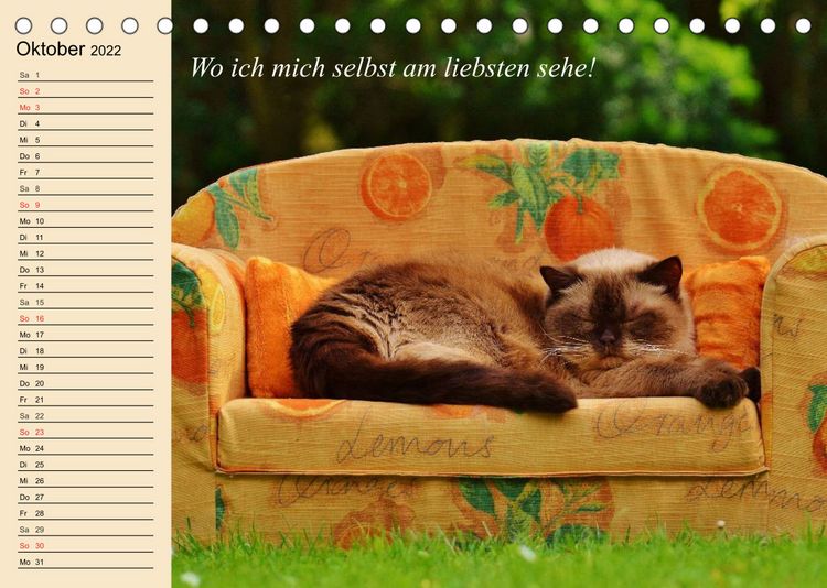 Produktbild: Unsere Katzen. Wie sie wirklich sind! (Tischkalender 2022 DIN A5 quer)