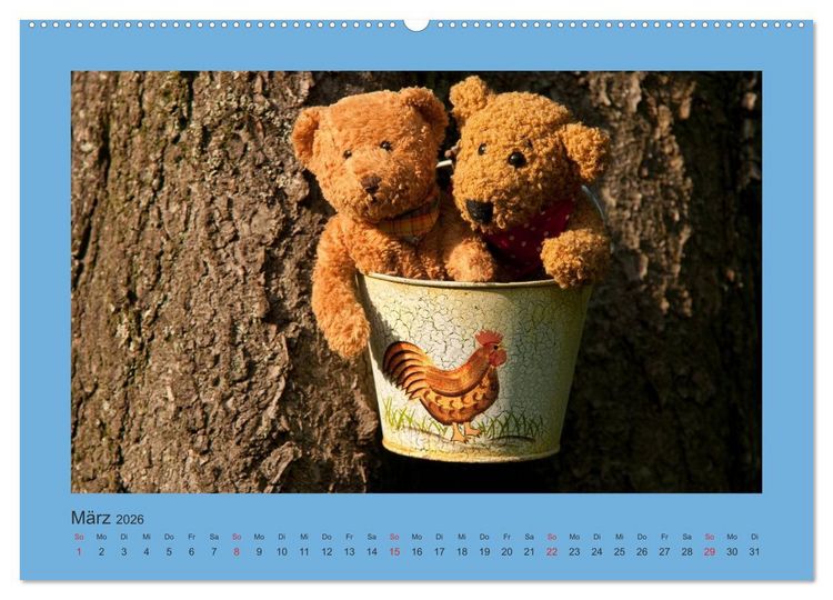 Produktbild: Teddys Meine Freunde (Wandkalender 2026 DIN A2 quer), CALVENDO Monatskalender