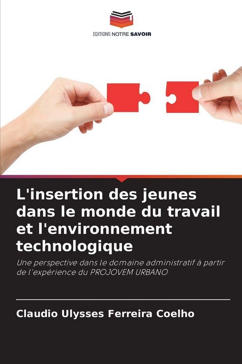 Produktbild: L'insertion des jeunes dans le monde du travail et l'environnement technologique