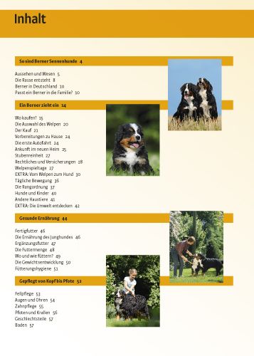 Produktbild: Berner Sennenhund