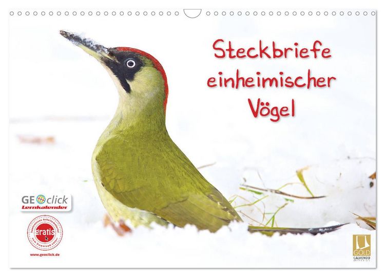 Produktbild: Steckbriefe einheimischer V&ouml;gel (Wandkalender 2026 DIN A3 quer), CALVENDO Monatskalender