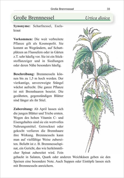 Produktbild: Essbare Wildpflanzen