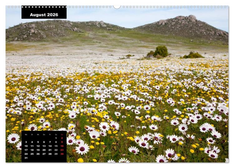Produktbild: Blickpunkte des S&uuml;dlichen Afrika (hochwertiger Premium Wandkalender 2026 DIN A2 quer), Kunstdruck in Hochglanz