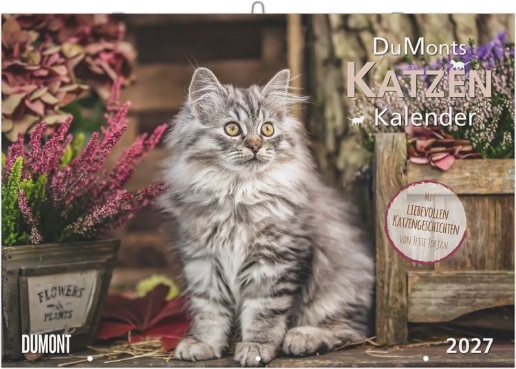 Produktbild: DuMonts Katzen Kalender 2027