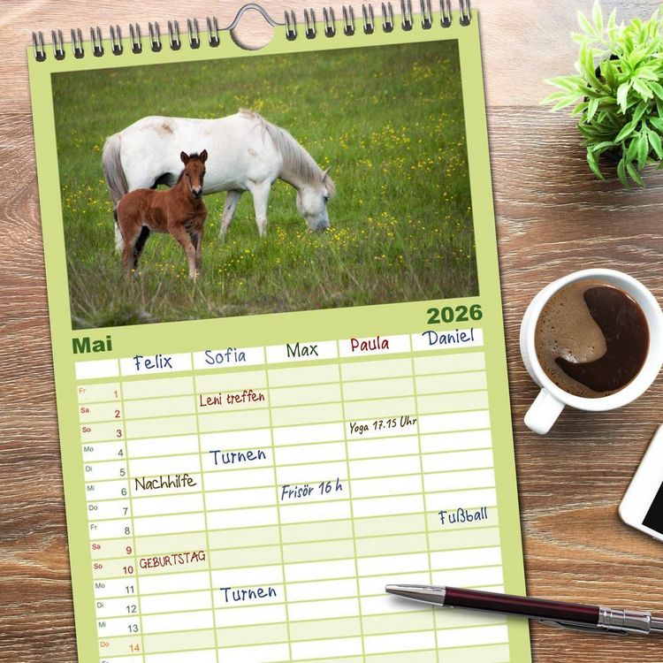 Produktbild: Familienplaner 2026 - Charakterk&ouml;pfe Islandpferde mit 5 Spalten (Wandkalender, 21 x 45 cm) CALVENDO