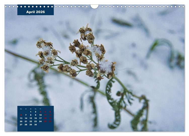 Produktbild: Winterstimmungen in Deutschland (Wandkalender 2026 DIN A3 quer), CALVENDO Monatskalender