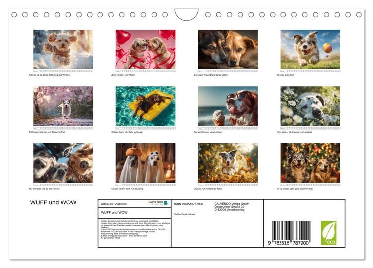 Produktbild: WUFF und WOW (Wandkalender 2027 DIN A4 quer), CALVENDO Monatskalender