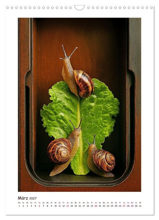 Produktbild: Wer f&auml;hrt denn da? Ein tierisches Paternoster Vergn&uuml;gen (Wandkalender 2027 DIN A3 hoch), CALVENDO Monatskalender